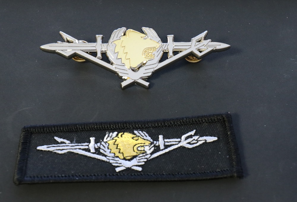 Above, a metallic emblem that is decorated with the bear emblem of the Finnish Border Guard surrounded by wings, from which swords horizontally go to the sides. Underneath the left sword and over the right sword, a diagonal trident has been drawn. Underneath the metal emblem is a fabric badge that carries the same emblem.