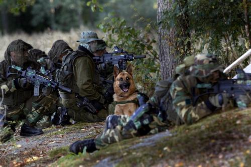 Six armed operators are lying on the ground. All men are wearing camouflage uniforms. There is a German shepherd sitting in the middle of the group.