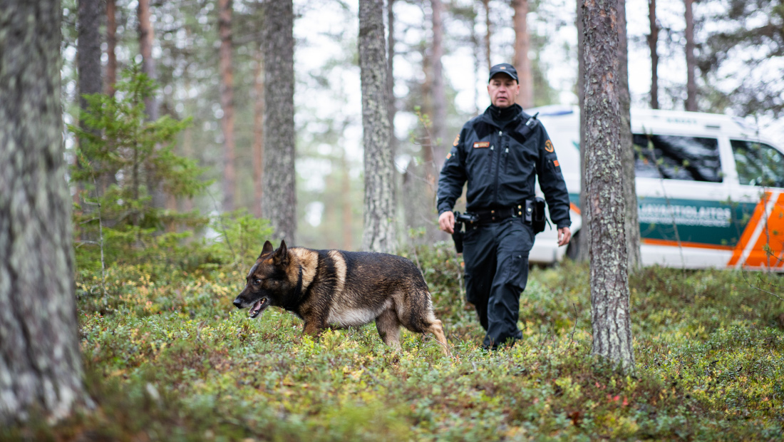 Rajakoira ja rajavartija kävelevät metsässä.