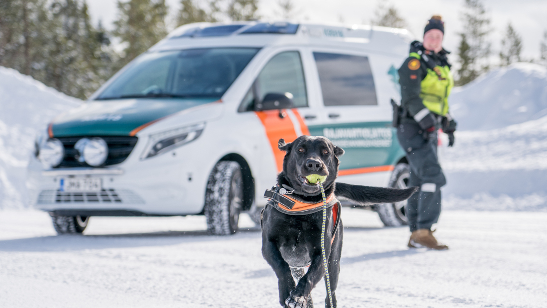 Rajakoira juoksee kohti kameraa pallo suussa. Taustalla rajavartija ja partioauto.