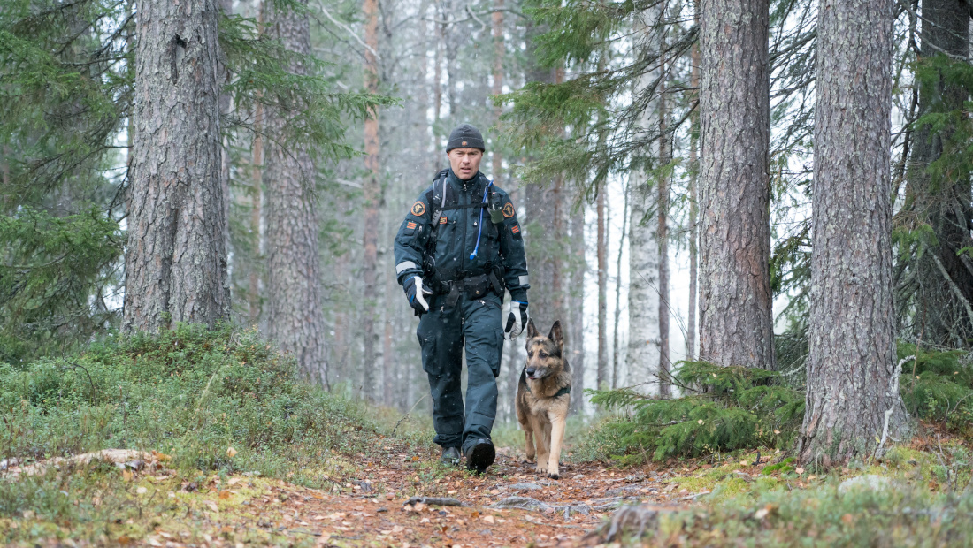 Gränsbevakaren och gränshunden patrullerar i skogen. Det är höst.