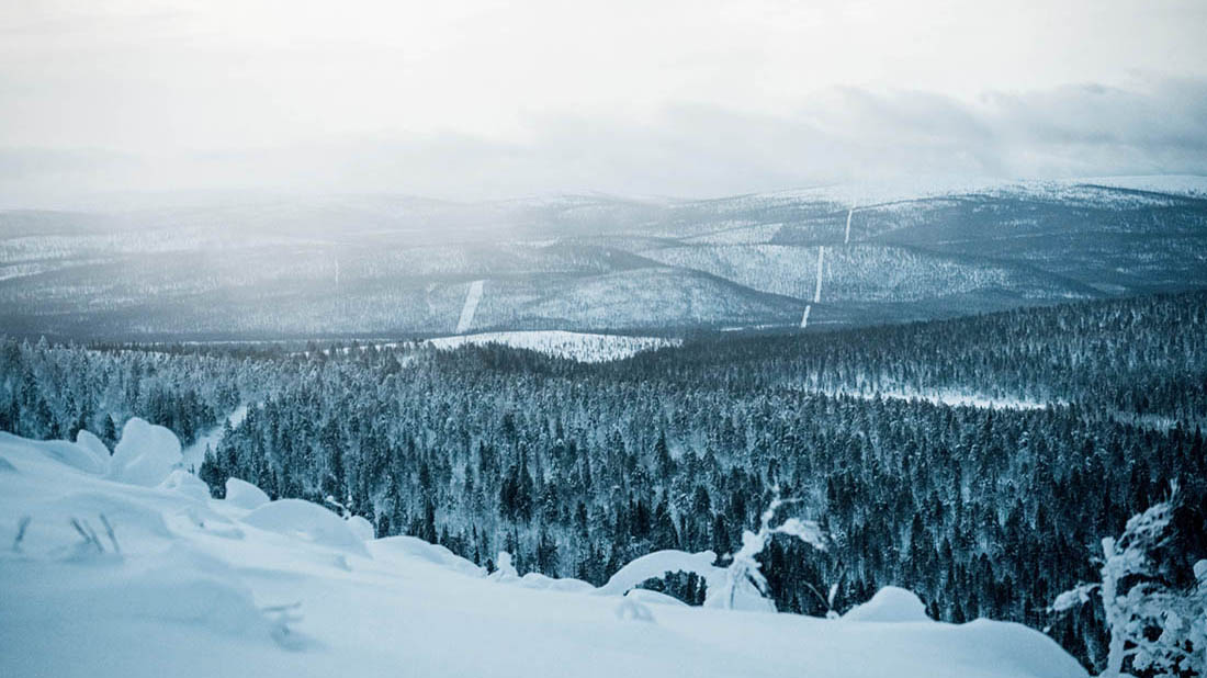 Ilmakuva, jossa luminen metsämaisema rajalta.