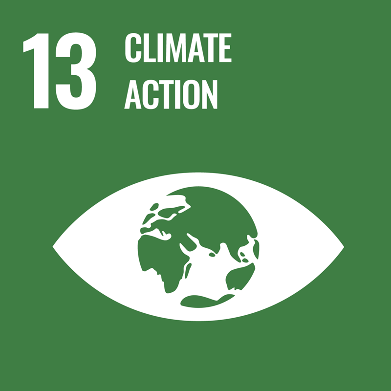 Graphic illustration for goal 13: Climate action. Picture of an eye with earth as iris.