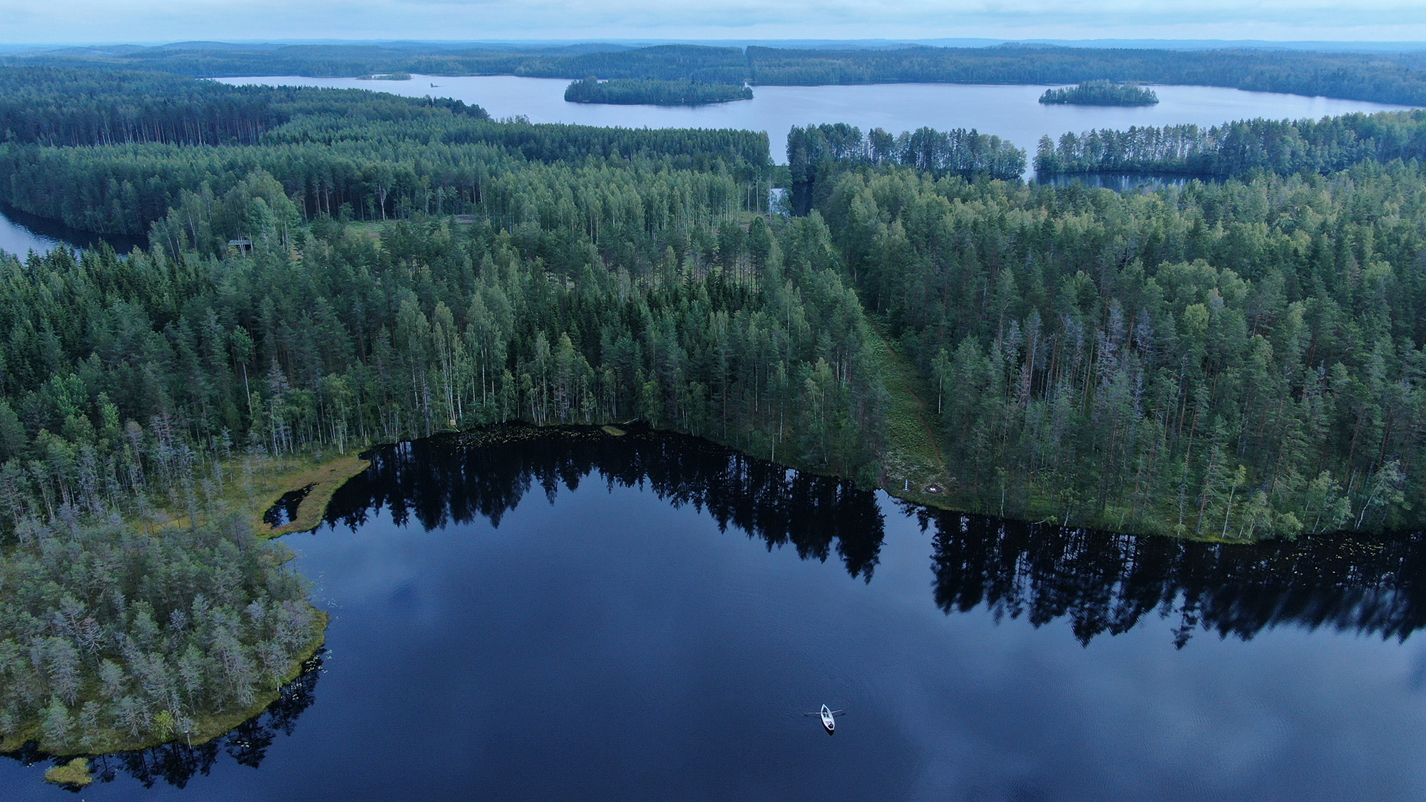 Ilmakuva Suomen metsistä ja järvistä. Kuvituskuva.