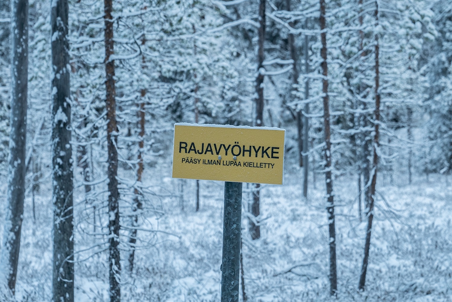 Keltainen kyltti lumisessa metsässä. Kyltissä lukee 