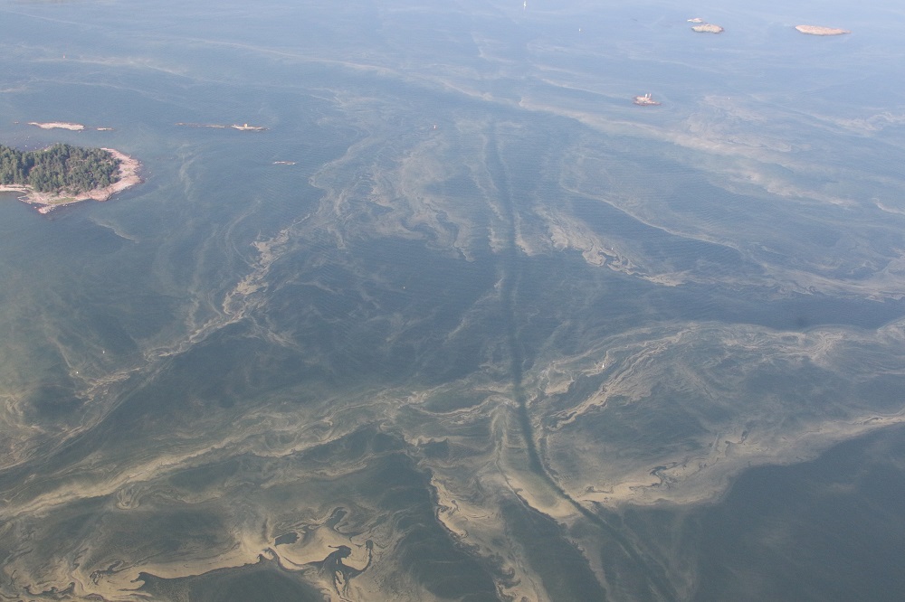 Aerial photograph of marine algae formation near Helsinki.