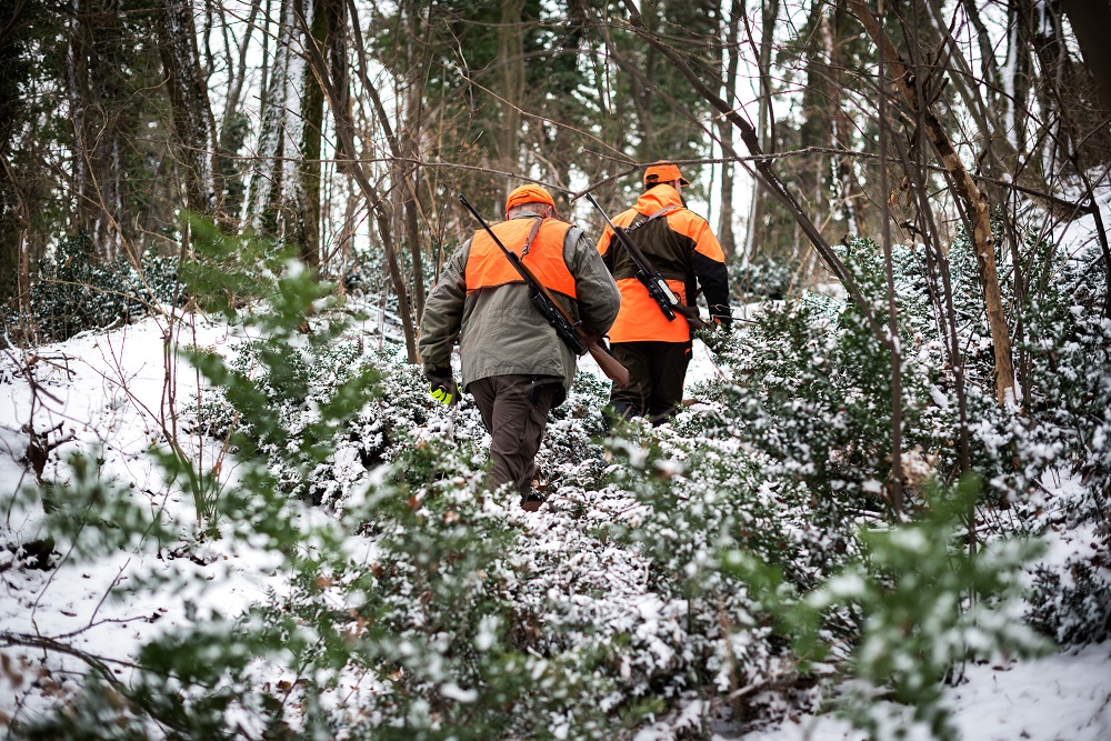 I en snöig skog går två jägare med ryggen mot kameran.