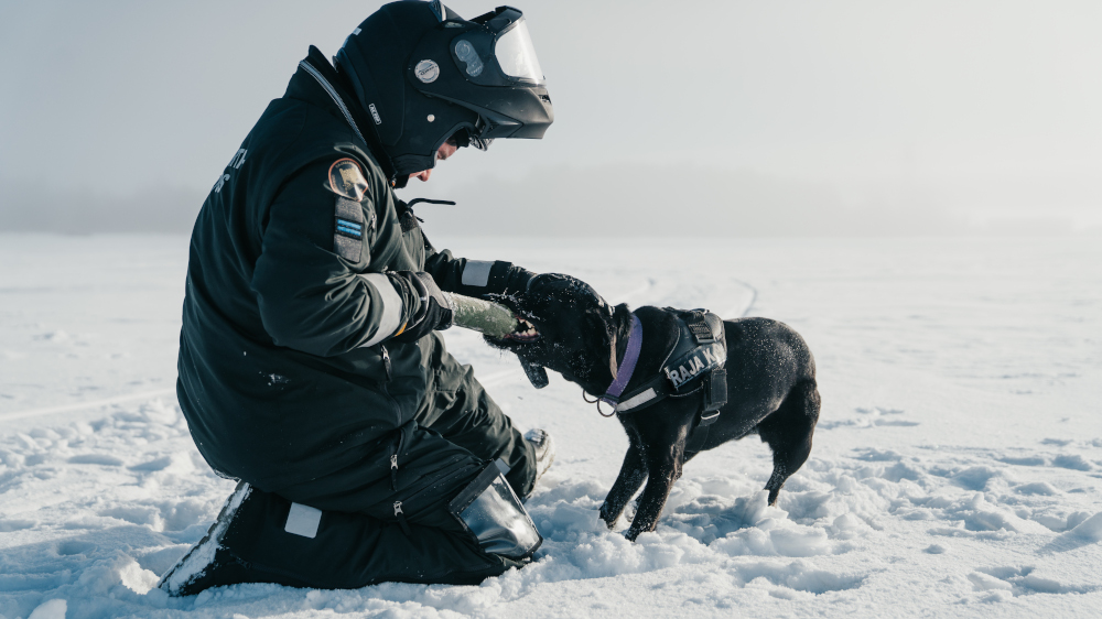 En gränsbevakare leker i snö med sin hund.