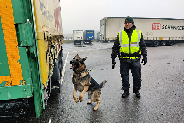 Clapton ja rajavartija, koira hyppää kohti rekkaa.