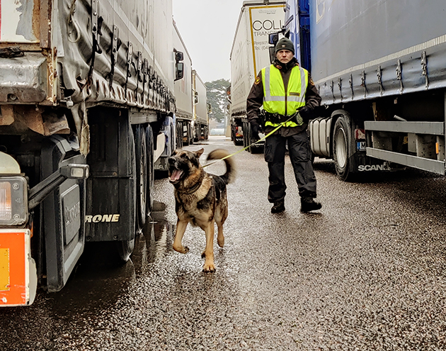 Clapton haistelemassa rekkojen kontteja.