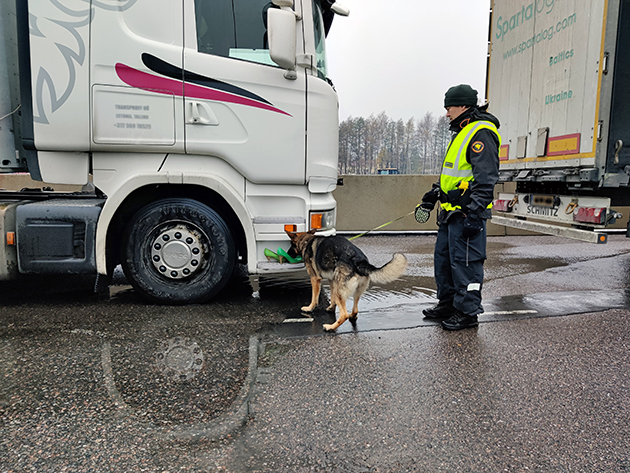 En sjöbevakningshund söker igenom tunga fordon i hamnen.