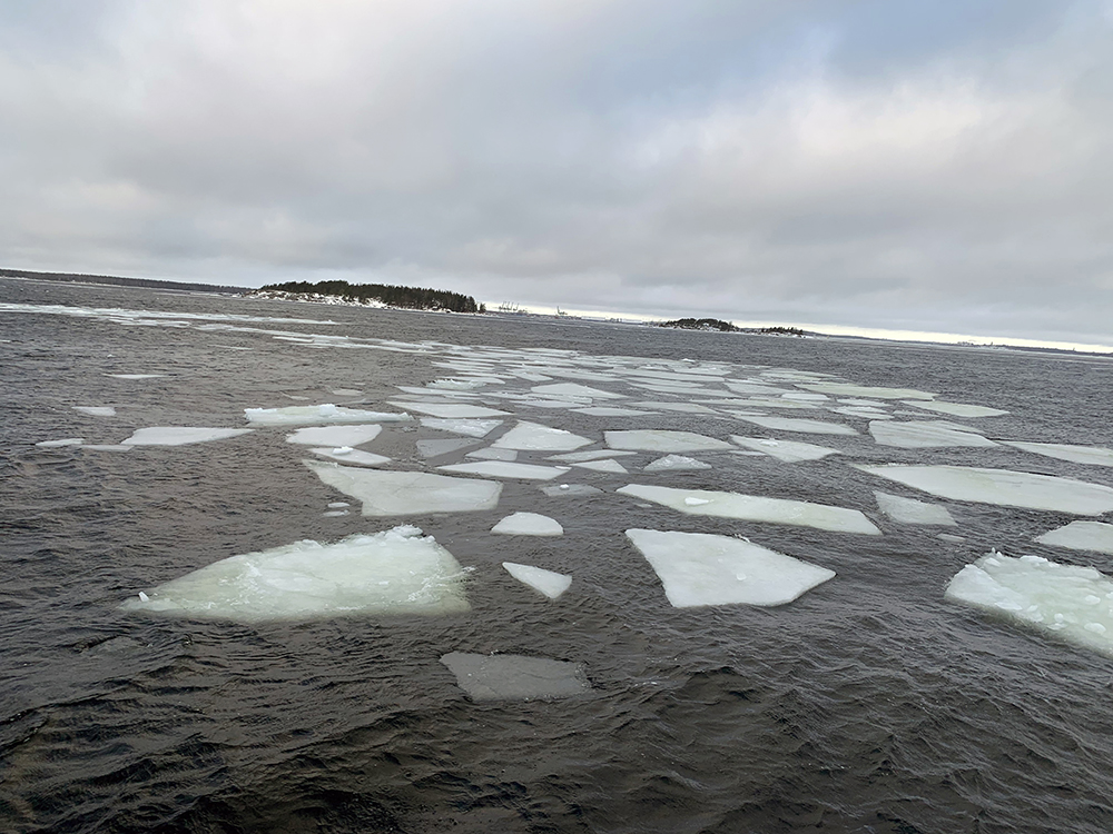 Bitar av isflak på havet.