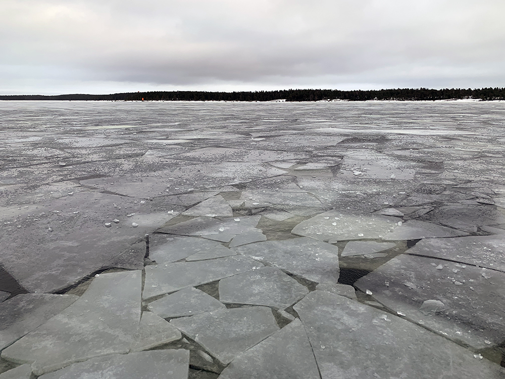 Jäälauttoja merellä.